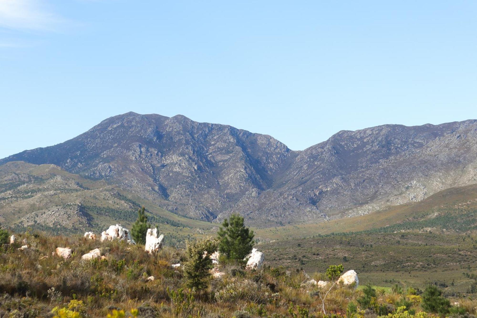 Avani Lodge Private Nature Reserve Botrivier Buitenkant foto