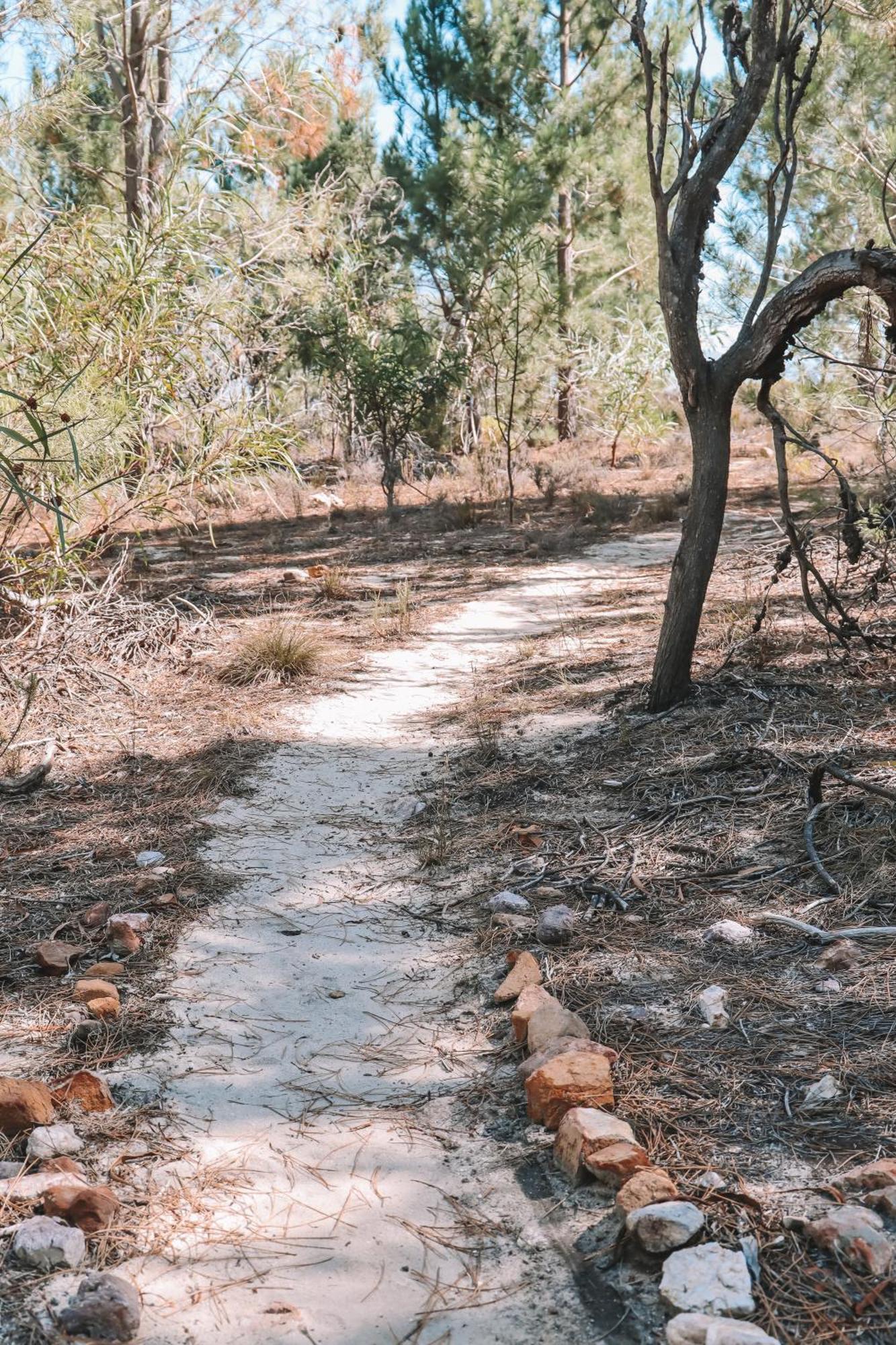 Avani Lodge Private Nature Reserve Botrivier Buitenkant foto